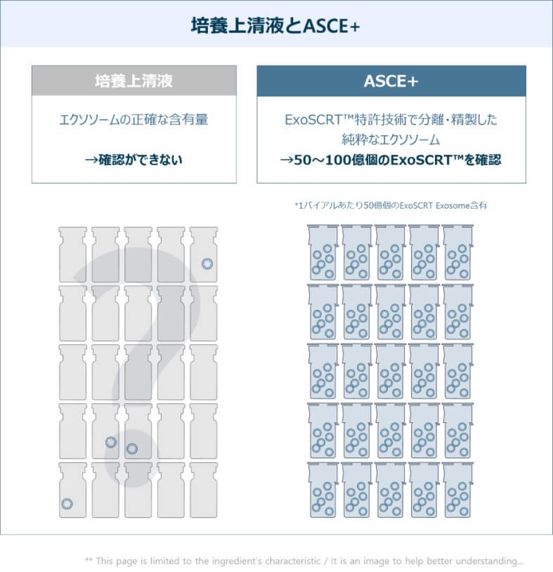 培養上清液とASCE＋